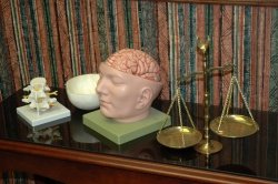 Seeking justice for victims of brain injuries