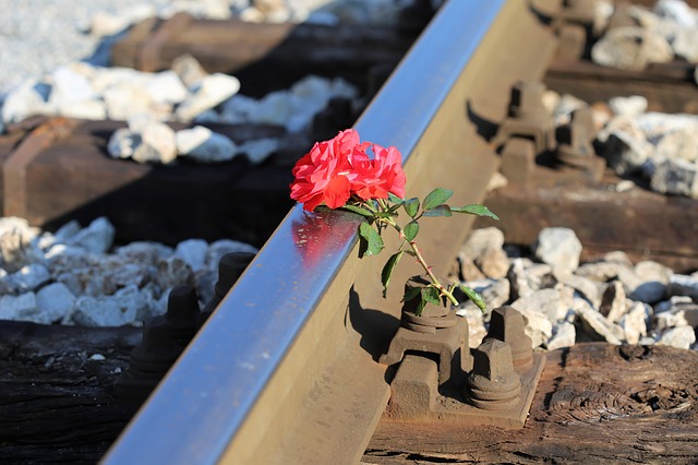 Pedestrian - Train Accidents | Pottroff